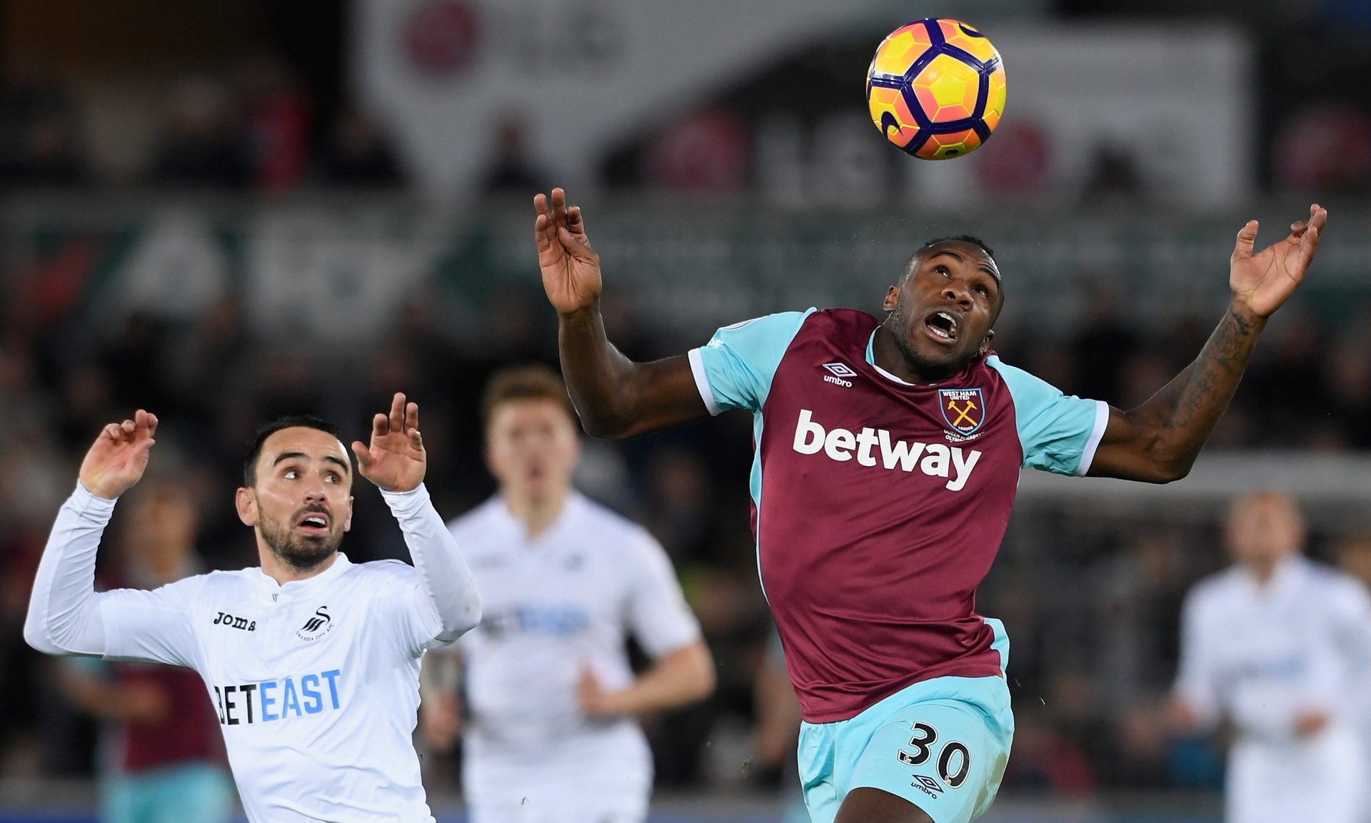 仅包容多样 仅包容多样